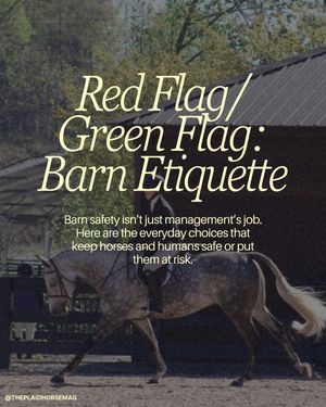 Image post by @theplaidhorsemag on Instagram