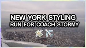 Video post by @shaqpalmerthestylist on YouTube