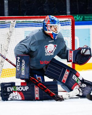 Image post by @goaliegearnerd on Instagram