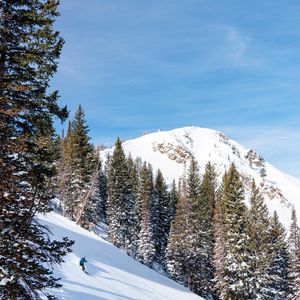 Image post by @pcski on Instagram
