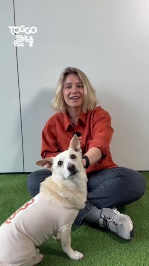 Video post by @toggo on TikTok