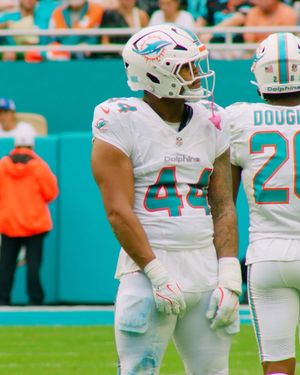 Image post by @miamidolphins on Instagram