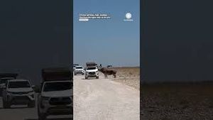 Video post by @accuweather on YouTube