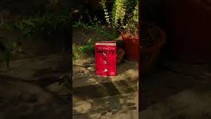 Video post by @thebookerprizes on YouTube