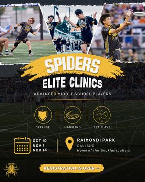 Image post by @oaklandspiders on Instagram