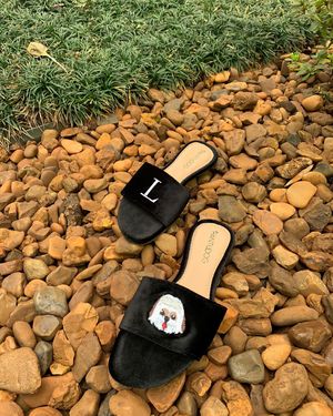 Image post by @pantudog on Instagram