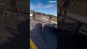 Video post by @laopinionla on YouTube