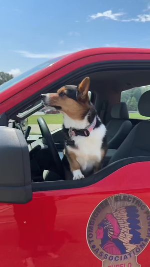 Video post by @TombigbeeEPA on Facebook