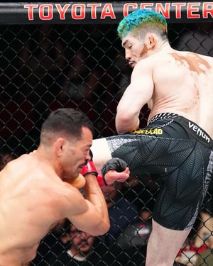 Image post by @ufc on Instagram