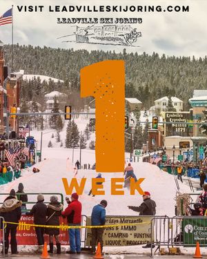 Image post by @leadvilleskijoring on Instagram