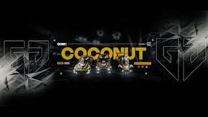 Video post by @jamaicancoconutrl on YouTube