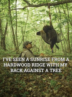 Image post by @muscadinebline on Instagram