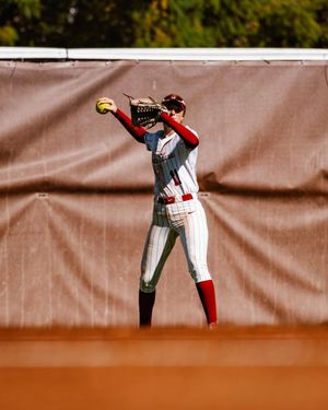 Image post by @scusoftball on Instagram