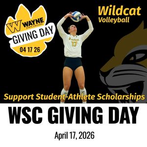 Image post by @wscwildcatvb on Instagram