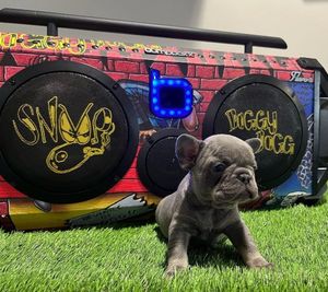 Image post by @bumpboxx on Instagram