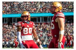 Image post by @yamaris_photos on Instagram