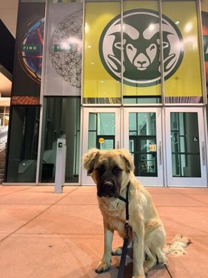Image post by @barstoolcsu on Instagram