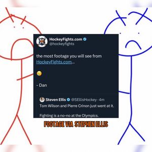 Image post by @hockeyfights on Instagram