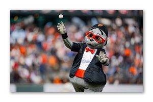 Image post by @tmncaasports on Instagram