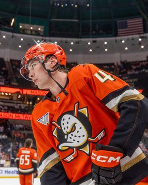 Image post by @AnaheimDucks on Twitter