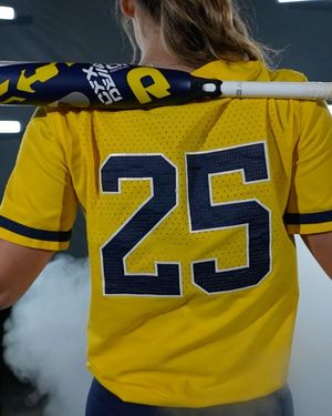 Image post by @umichsoftball on Instagram