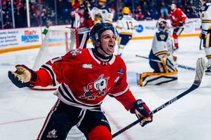 Image post by @ohlicedogs on Instagram