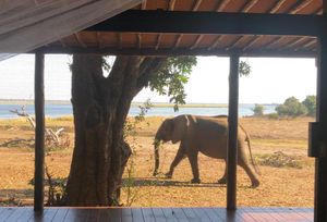 Image post by @chiawasafaris on Instagram