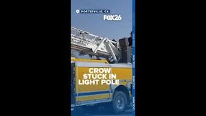 Video post by @kmphfox26 on YouTube