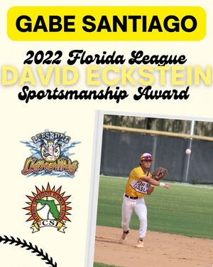 Image post by @leesburglightning on Instagram