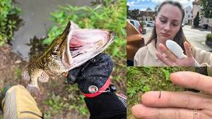 Video post by @jonasederfishing on YouTube