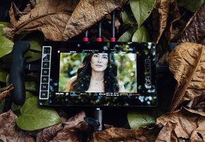 Image post by @txlfilms on Instagram