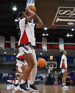 Image post by @gojsutigers on Instagram