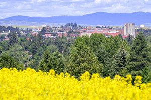 Image post by @wsupullman on Instagram