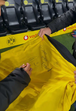 Video post by @bundesliga on TikTok