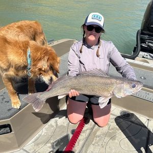 Image post by @scheelsoutdoors on Instagram