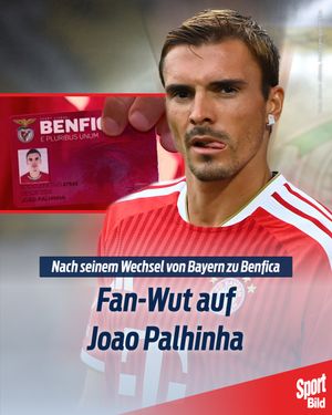 Image post by @sport_bild on Instagram