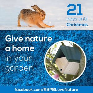 Image post by @rspb on Instagram