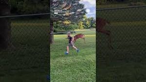 Video post by @accuweather on YouTube
