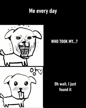 Image post by @9gag on Instagram