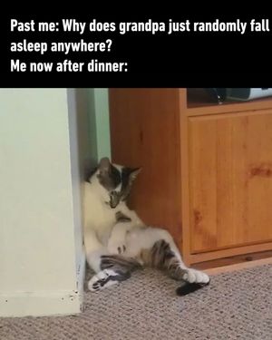 Image post by @9gag on Instagram