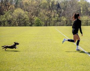 Image post by @nadia_nadim on Twitter