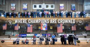Image post by @AmericanRoyalLivestock on Facebook