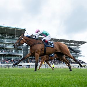 Image post by @juddmonte on Instagram
