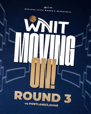 Image post by @msubobcatswbb on Instagram