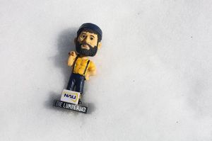 Image post by @naualumni on Instagram