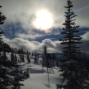 Image post by @whistlerblackcomb on Instagram
