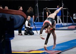 Image post by @niugymnastics on Instagram