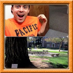 Image post by @pacifictigers on Instagram