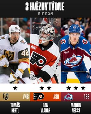 Image post by @nhlcesko on Instagram