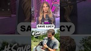 Video post by @tomilahrenisfearless on YouTube